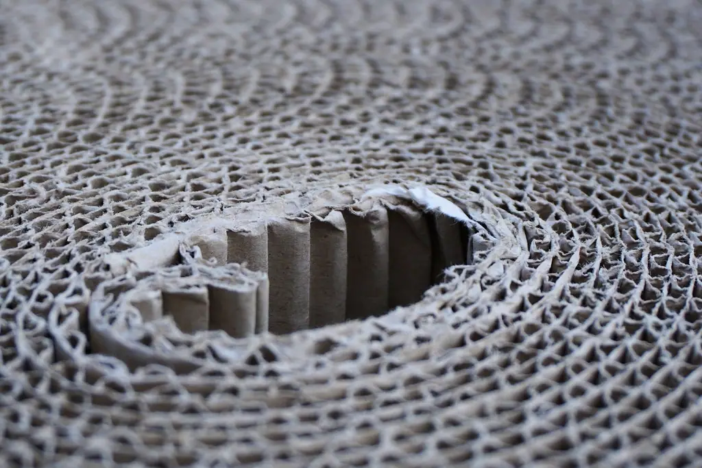 A roll of single-face corrugated board seen end-on